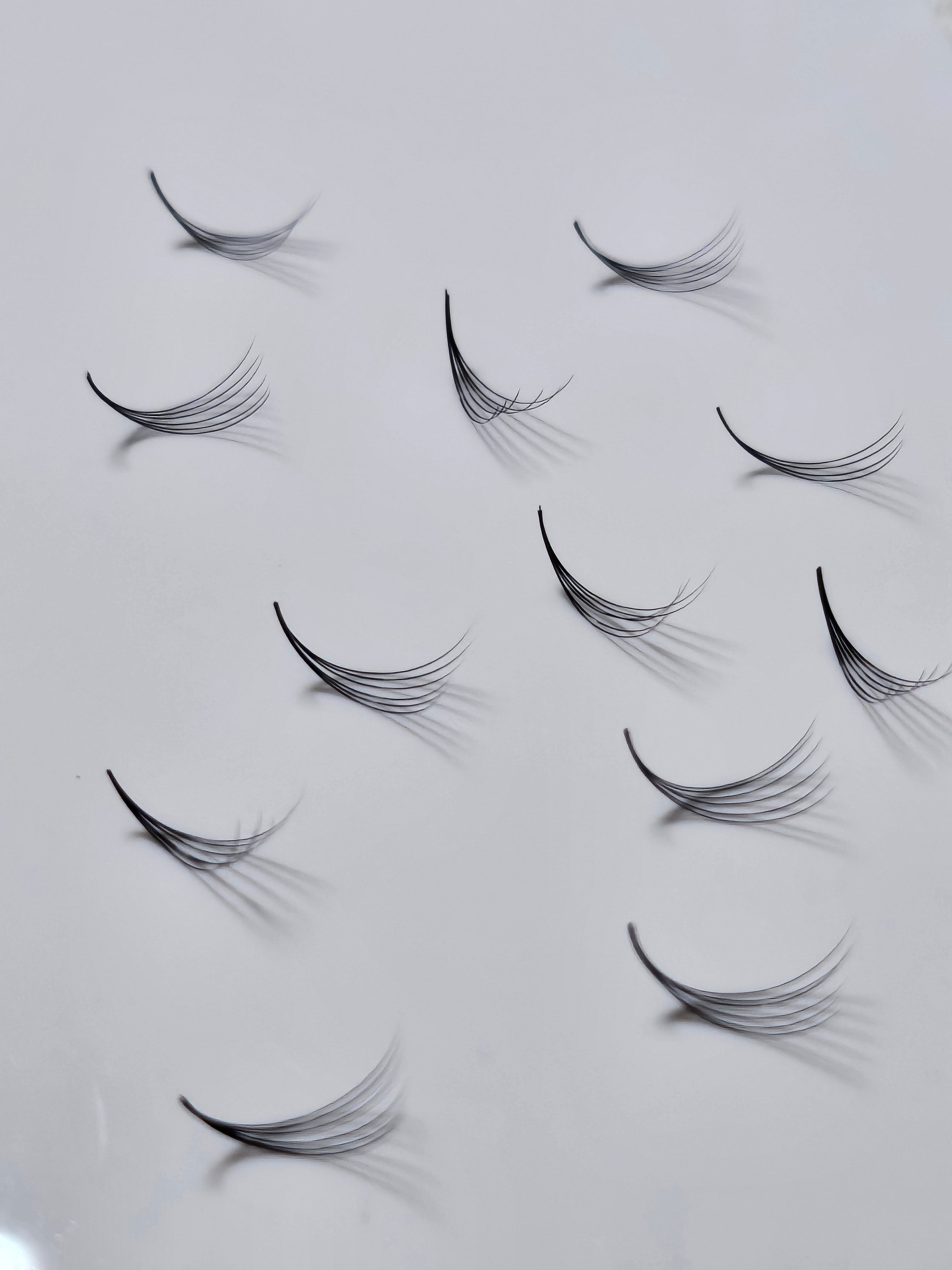 ✨️Handmade Cashmere Ellipse Fans C Curl 6D 0.07✨️