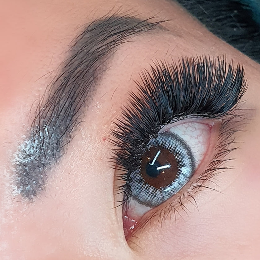 NAPIER - Cashmere Ellipse Russian Volume Masterclass MAY 5th 2025