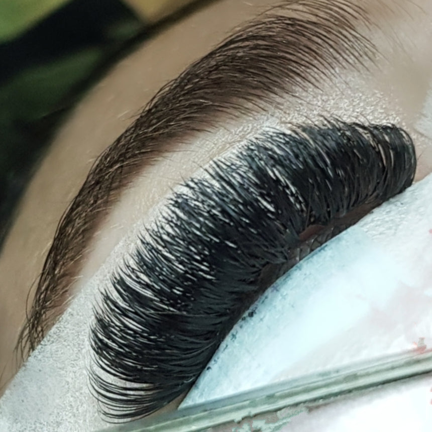 NAPIER - Cashmere Ellipse Russian Volume Masterclass MAY 5th 2025