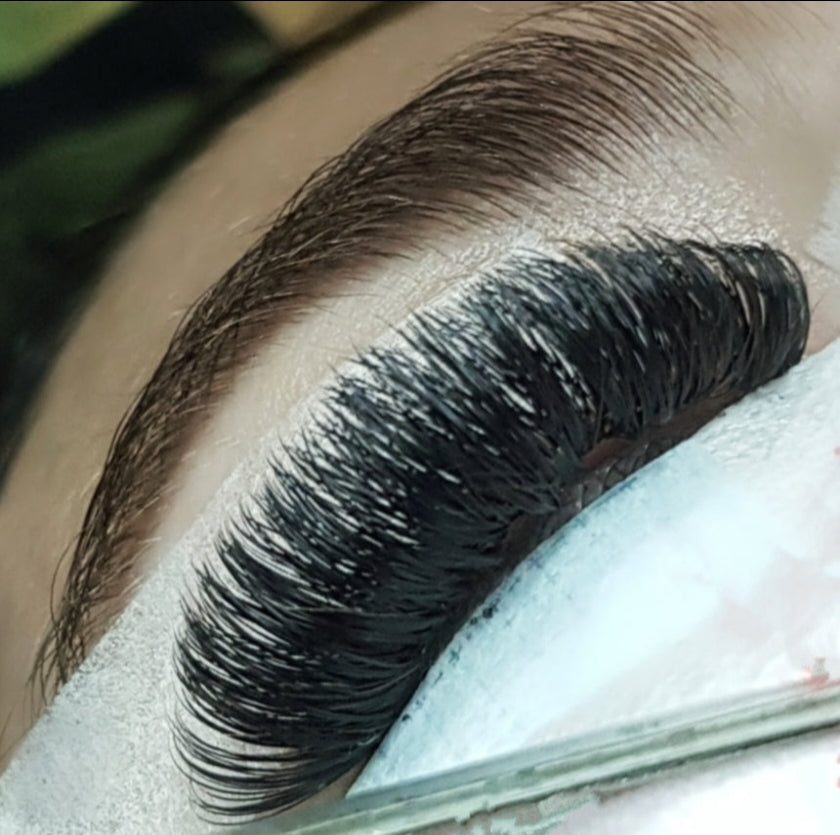 NEXT ZOOM CLASS: Monday 24th November, 2025- Cashmere Ellipse Russian Volume Masterclass